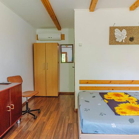 Отель Casa Dexter Вама-Веке Экстерьер фото