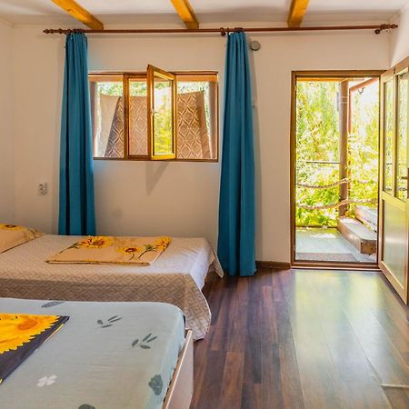 Отель Casa Dexter Вама-Веке Экстерьер фото