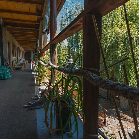 Отель Casa Dexter Вама-Веке Экстерьер фото